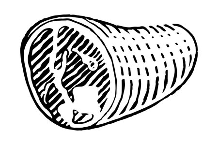 Cuts of Pork. Vector illustration on white background.のイラスト素材