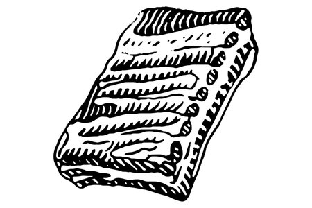 Cuts of Pork. Vector illustration on white background.のイラスト素材
