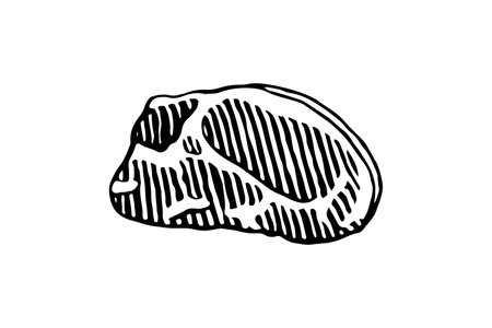 Cuts of Pork. Vector illustration on white background.のイラスト素材