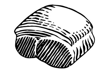 Cuts of Pork. Vector illustration on white background.のイラスト素材