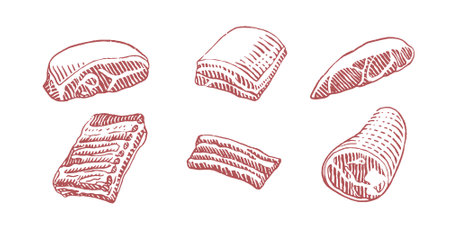 Sketch of bacon. Vector illustration of a piece of bacon.のイラスト素材