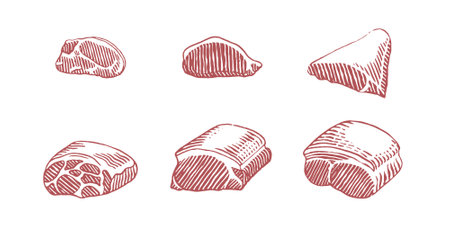 Slices of meat. Hand drawn sketch style vector illustration.のイラスト素材