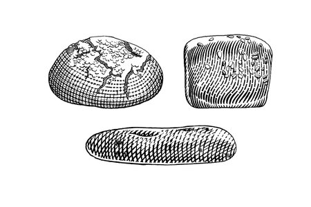 Hand drawn vector illustration of bread. Vintage style engraving.のイラスト素材
