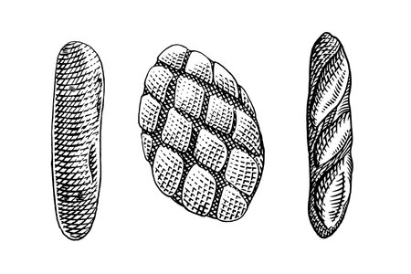 Hand drawn sketch of bread. Vector illustration isolated on white background.のイラスト素材