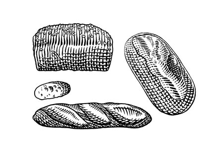 Bread set. Hand drawn vector illustration. Engraved style.のイラスト素材
