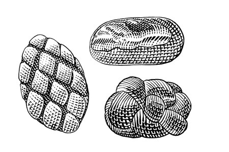 Hand drawn sketch of bread. Vector illustration in vintage engraved style.のイラスト素材
