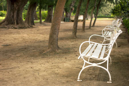 empty white garden chairの写真素材