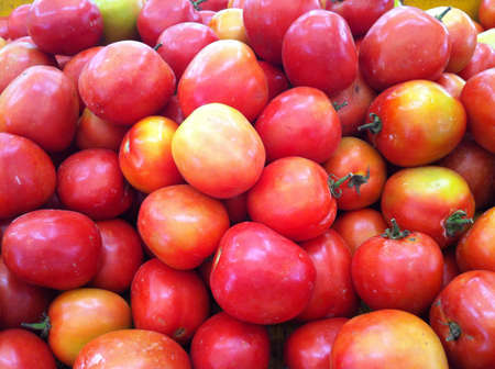 Fresh tomatoes at the marketの素材
