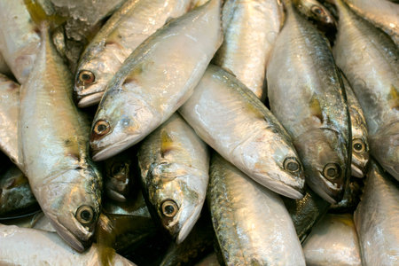 fresh mackerel fishes in local fish market