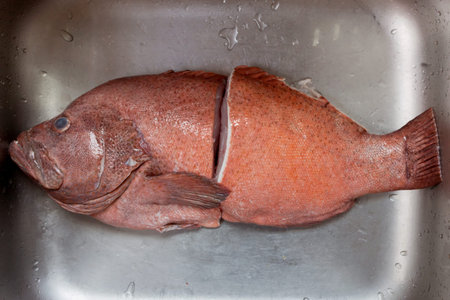 cut off half body of Red-banded grouper in the sink
