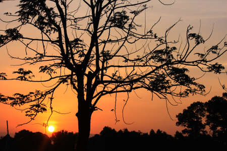 Sunrise landscapeの写真素材