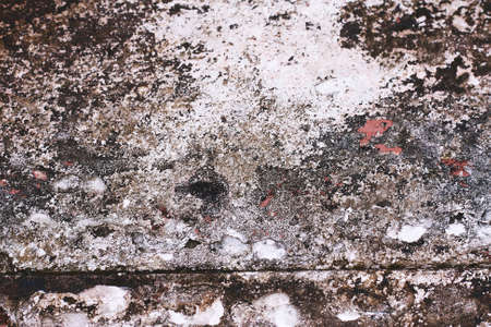 wood textureの写真素材