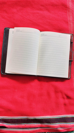 An empty notebook with a skin cover under a red carpet.