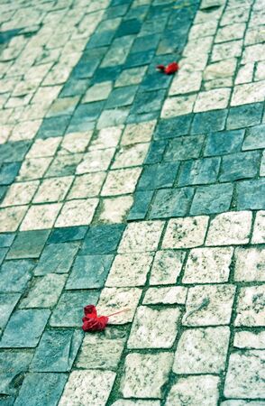 Texture: cobblestonesの写真素材