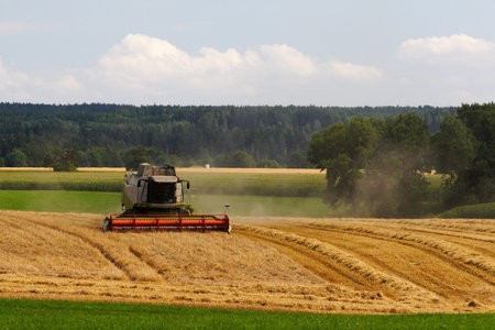 harvester riding in the field