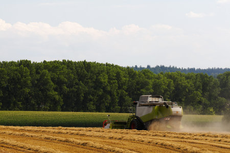 harvester riding in the field