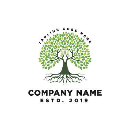 Root Of The Tree Logo Design Inspirationのイラスト素材
