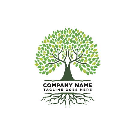 Root Of The Tree Logo Design Inspirationのイラスト素材