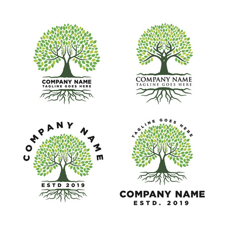 Root Of The Tree Logo Design Inspirationのイラスト素材