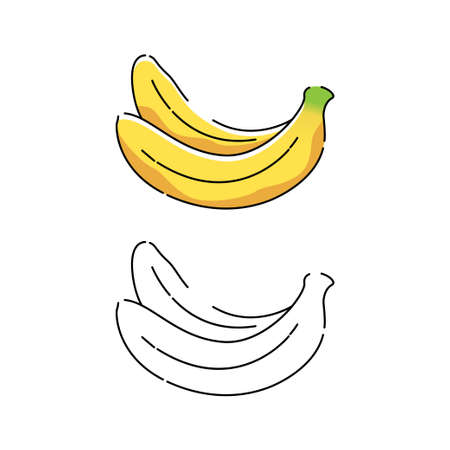 illustration of a bananaのイラスト素材