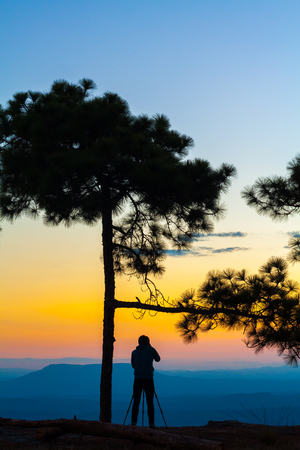 SUNSET TREE MANの写真素材