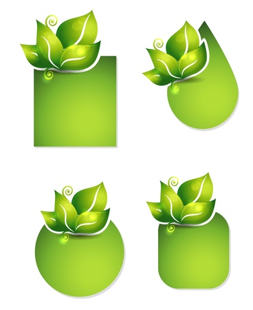 Fresh leafs templates. Various shapes. Isolated on a white background.のイラスト素材