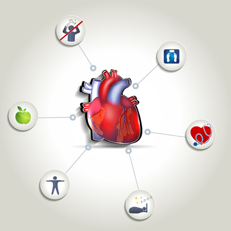 Healthy heart care tips. Healthy food, fitness, no stress, good sleep and healthy weight leads to healthy heart. のイラスト素材
