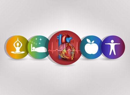 Human heart health care colorful icon collection. Healthy food, fitness, no stress, good sleep leads to healthy heart. Colorful human heart illustration at the middle and normal heart beat rhythm.のイラスト素材