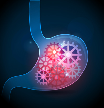 Digestive system working concept. Gears inside the stomachのイラスト素材