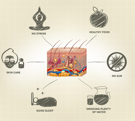 Healthy skin care advices. Healthy realistic skin anatomy and hand drawn tips.のイラスト素材