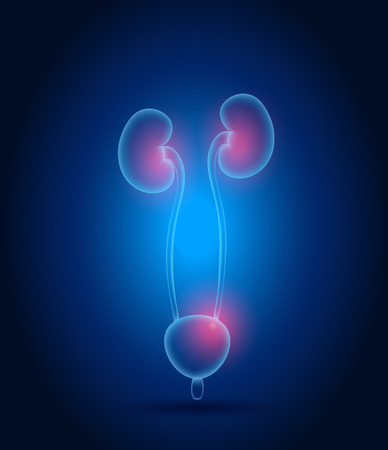 Kidneys abstract design. Bright blue background and red lights.のイラスト素材