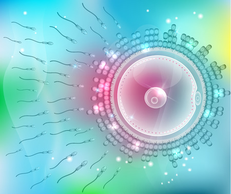 Ovum fertilization drawing, beautiful design on a blue backgroundのイラスト素材