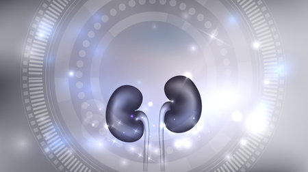 Kidneys 3d illustration abstract blue scientific illustration.