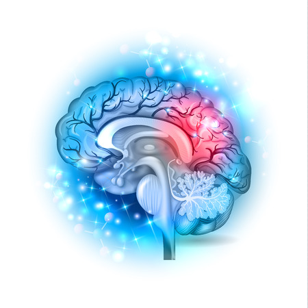 Human brain on a beautiful light blue sparkling backgroundのイラスト素材
