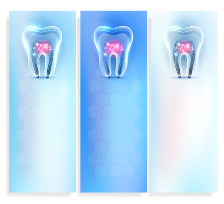 Beautiful clean artistic transparent tooth anatomy templates set on a delicate clean blue backgroundのイラスト素材