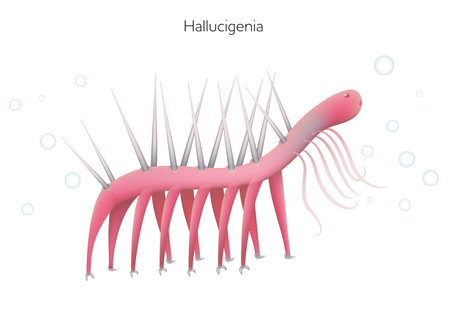Hallucigenia is an extinct genus of aquatic animal lived in a Cambrian periodのイラスト素材