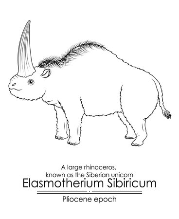 A large rhinoceros, known as the Siberian unicorn Elasmotherium Sibiricum from Pliocene epoch. Black and white line art, perfect for coloring and educational purposes.のイラスト素材