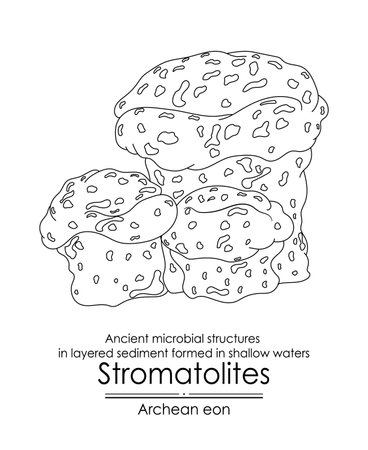 Stromatolite formations from the Archean Eon are ancient microbial structures in layered sediment, formed in shallow waters.のイラスト素材