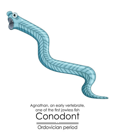 Conodont an Ordovician period jawless vertebrate. Colorful illustration on a white backgroundのイラスト素材