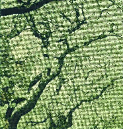 Abstract moss green image of trees.