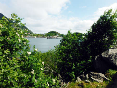 Moskenes at the north of Norwayの写真素材