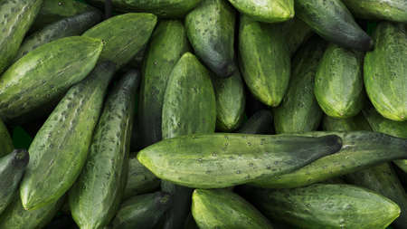 fresh cucumbers in a marketの写真素材