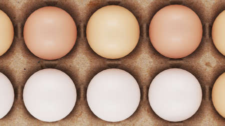 brown and white eggs in a cartonの写真素材
