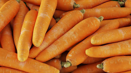 carrots on a wooden backgroundの写真素材