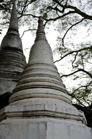 stupa in nakhonpathomの写真素材
