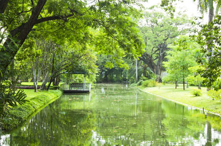 nature in palace at thailandの写真素材