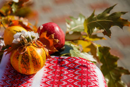 Wedding gold rings on pumpkin with autumn leavesの写真素材