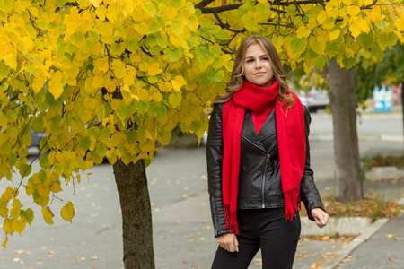 Beautiful young girl in a black leather jacket with a red scarf near a tree with yellow leavesの写真素材