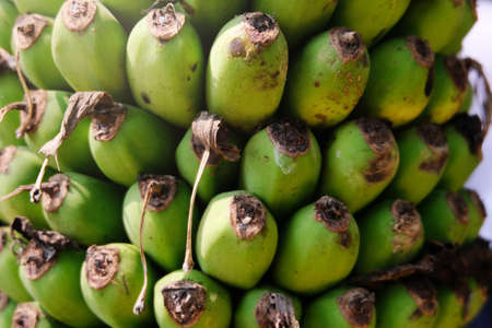 Close up  green bunch of bananaの写真素材