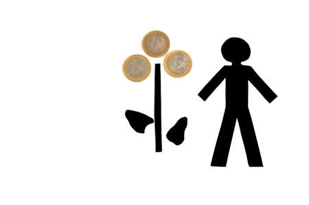 money plant isolated on a white backgroundの写真素材